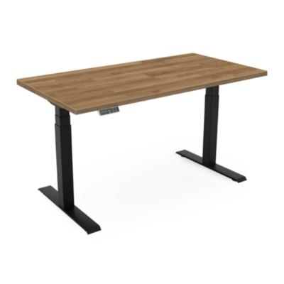Bureau modèle UDE2N, réglable en hauteur électriquement, avec plateau en bois massif de hêtre